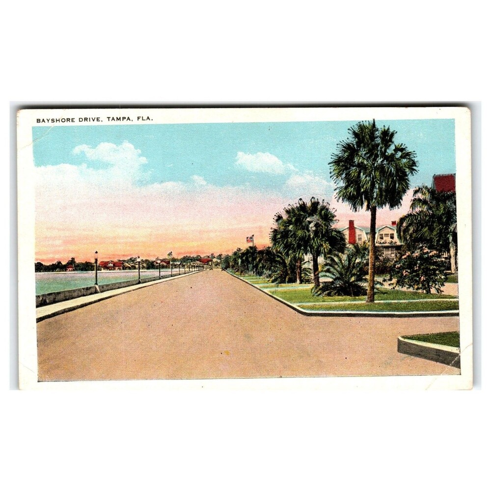 Bayshore Drive Tampa Florida Linen Postcard Scenic Palm Trees Waterfront View